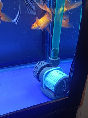鱼缸潜水泵