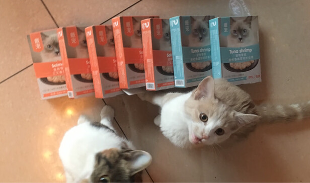 猫条猫零食