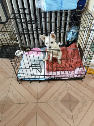  狗笼