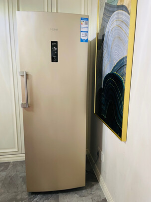 冰柜|海尔BD-228WL冰柜怎么样评测分析结果告知！