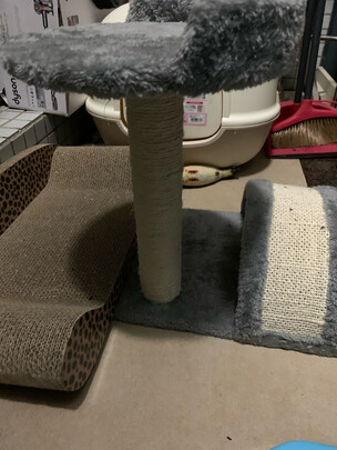 猫爬架