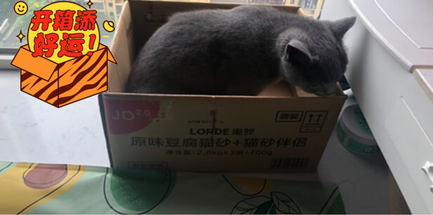 豆腐猫砂