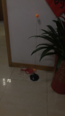 乒乓球训练器