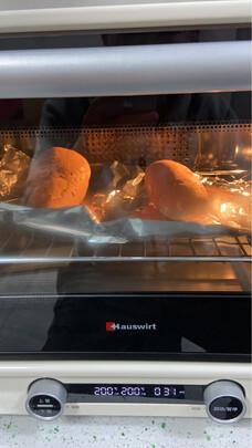 海氏烤箱怎么样?大家用后一周会后悔吗?