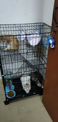  猫笼
