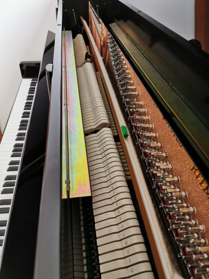 求助专家:珠江钢琴里特米勒J6 127cm怎么样?真实买家亲身体验反馈