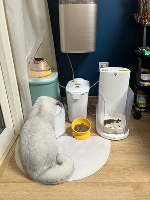 宠物饮水机