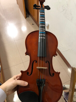 乐器小提琴