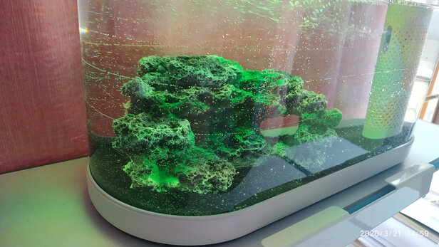 鱼缸装饰假山