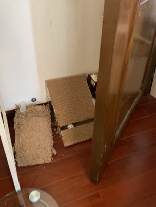 猫抓板