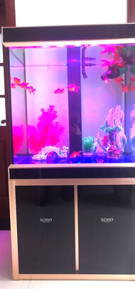 鱼缸潜水泵