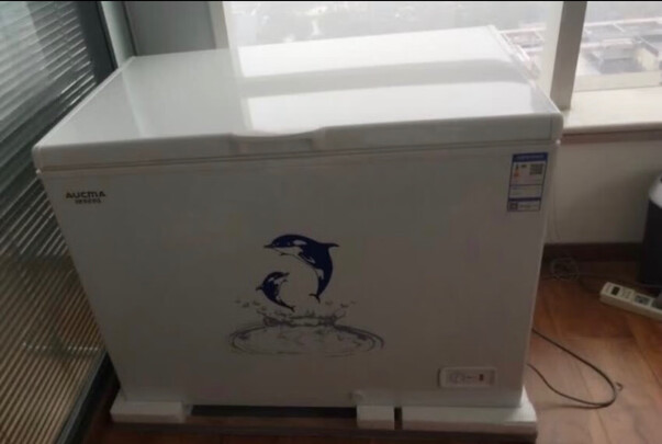 冰柜|客观评价澳柯玛BC/BD-323NE冰柜怎么样？上手三周说真相