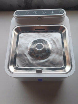 宠物饮水机
