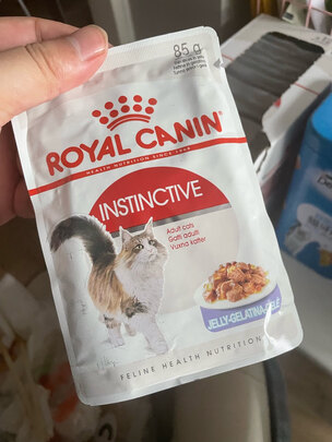 猫粮罐头
