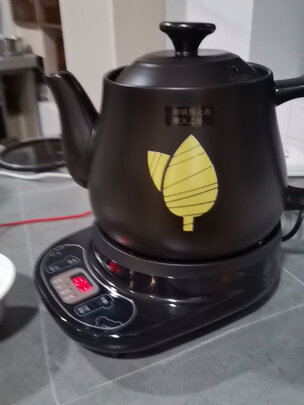 煎药壶