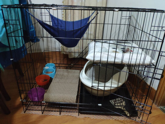 猫笼