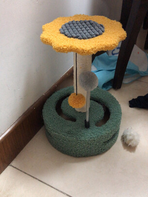 猫爬架