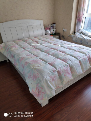 富安娜奥菲利亚鹅绒冬厚被选择五大雷区要慎重