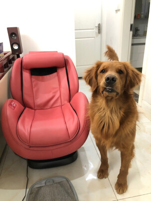 【口碑反馈】傲胜 OSIM OS-862怎么样|开箱评测，后悔买迟了？