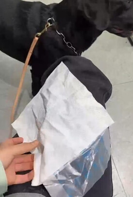 狗狗拾便袋