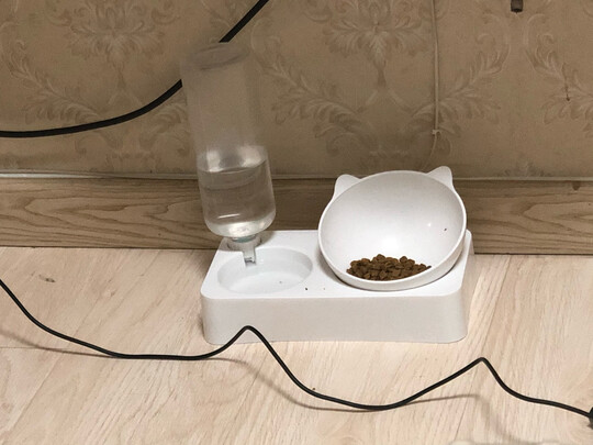 宠物饮水机