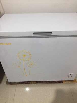 美菱(MELING)208升 家用商用冰柜 冷藏冷冻转换冷柜 一级能效 节能单温卧式 小型冰箱 BC/BD-208DT