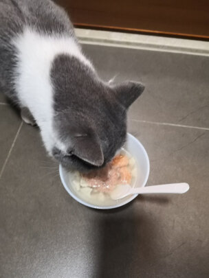 猫零食