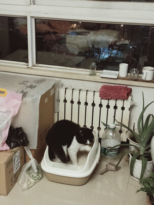 猫砂盆