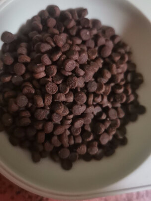 猫粮