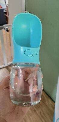 宠物水壶