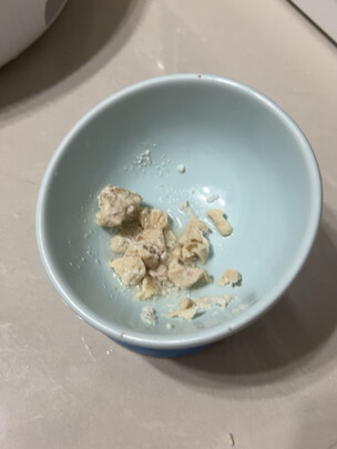 猫碗狗碗