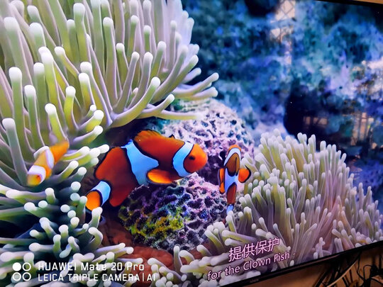 荣耀智慧屏x1和华为智慧屏se哪款比较好？讲讲体验真相？