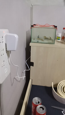 鱼缸氧气泵