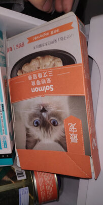 猫条猫零食