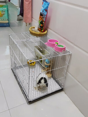 兔笼子