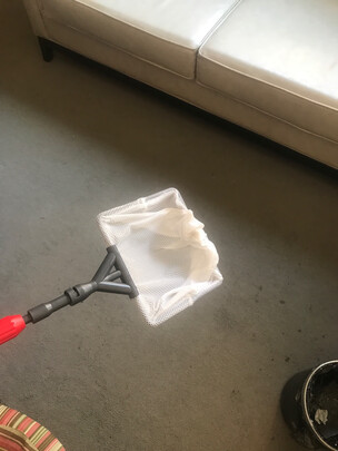鱼缸刷子