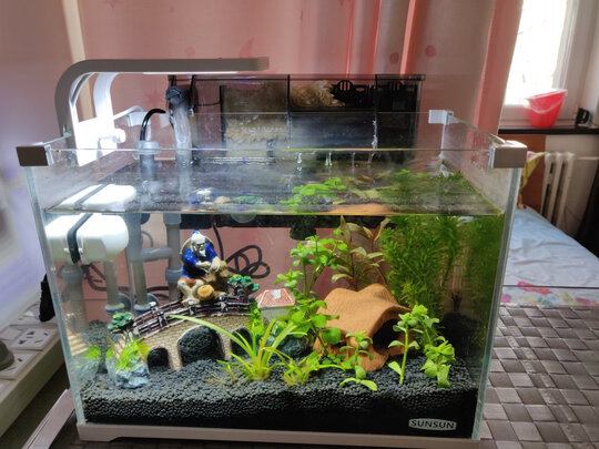 鱼缸水草灯