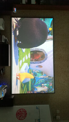 投影幕布|客观评价艾瑞尔投影仪幕布投影幕布怎么样？上手三周说真相