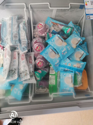 冷柜|澳柯玛SD-338HA冷柜如何,值得入手的原因分享！