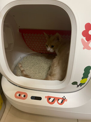 猫砂盆