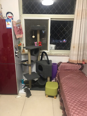 猫爬架