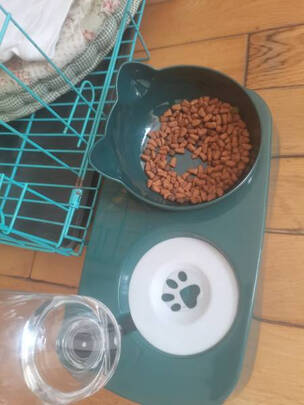 猫碗狗碗