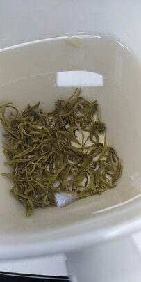 茉莉花茶