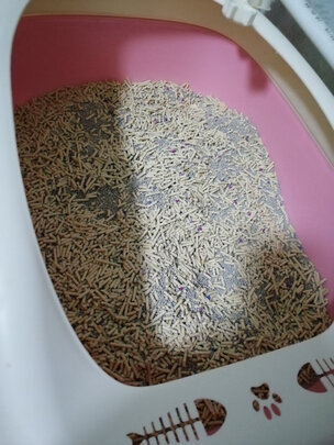 豆腐猫砂