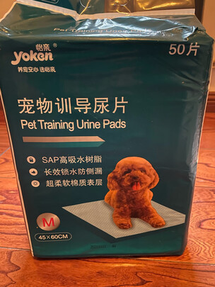 宠物纸尿裤