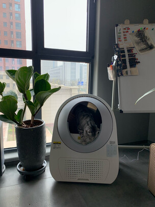 猫砂铲