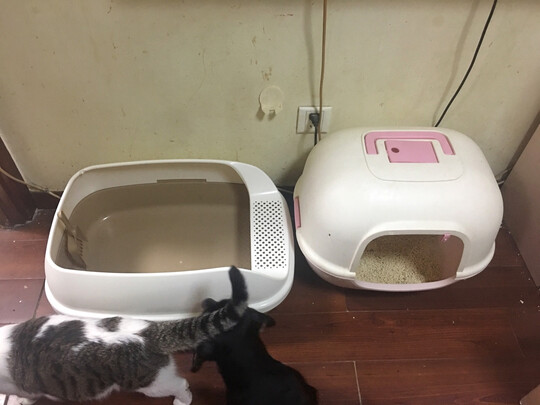 猫砂盆