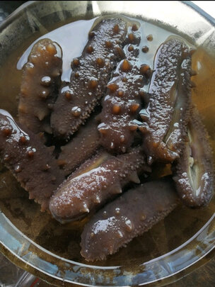 三,海晏堂淡干海参网友对比评测