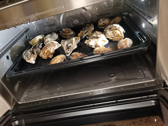 必看，松下JK200W蒸烤箱怎么样?老用户说真心话!