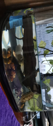 鱼缸水泵